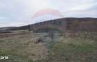 Teren de vanzare 517mp, sat Zapodia, com. Traian, jud Bacau - 2