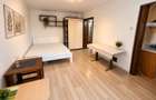 Apartament cu o cameră Bucovina