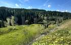 Teren intravilan de vanzare, 6941 mp, zona Mestecanis - 2