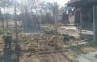 Casa tip parter Posta Calnau - 15