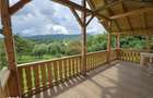 De vanzare | Casa | Bucovina | Cacica - 5
