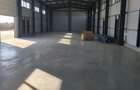 Depozit / Hala de vanzare 1300mp + teren intravilan pana la 9500mp