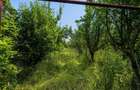 Casa din lemn masiv | 3 camere | Teren 5.000mp -Berceni Prahova - 6