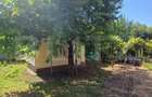 Casa de vanzare cu anexe, 174 mp, 22 ari teren, Grigoresti - 14