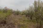 Vand Teren comuna Pischia sat Bececu de jos