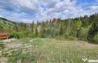 Teren 4048mp Campulung Moldovenesc, Strada Izvorul Alb, S... - 11