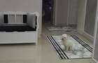 Apartament 3camere decomandat Nicolina-Cug Brd - 6