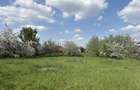 Teren intravilan , zona Apateului ,4600 mp - 3