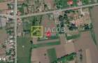 Pachet rural: apartament + bucatarie de vara + boxa+ 2.500 mp teren, D