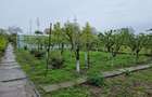 TEREN INTRAVILAN PREMIUM, ZONA 9 MAI, SUPRAFATA 1751 MP, IES - 7