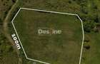 Teren compact intravilan 8000 mp vedere spre Lac, utilita? - 3