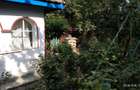 Casa batraneasca + teren intravilan 2.000 mp, utilitati Progresu, Ialomita 18.500 - 6