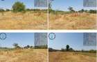 Teren intravilan Leu, Jud. Dolj, - 1