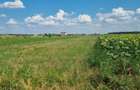 Vand teren direct proprietar - 3