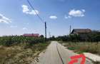 Livada Tanara pe Rod + Teren Intravilan 9.177 mp la Asfalt Ceretu (Danicei) - 2