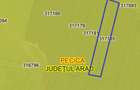 Vand teren agricol in Pecica( Turnu) 3,9 ha(fara contract cu arendas) - 2