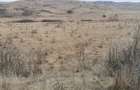 Teren agricol extravilan in Feiurdeni langa Campene?ti. S=12600mp - 2