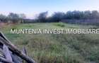 Teren 6000 mp. intravilan Smeura, str. Olteni - 6
