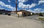 Hală industrială de inchiriat 260 mp Lipovei Iulius Mall TImișoara - 1