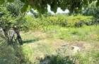 99.900 Euro casa+teren 1000 mp(concesiune) in com Sendreni - 15