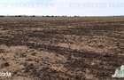 Oferim spre vanzare 6 loturi de teren extravilan (agricol) in Petrachi