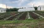 Ferma de vanzare | 3 ha | Intre Bucure?ti ?i Constan?a | Exploata?ie a - 7