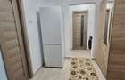 Apartament de inchiriat 2 camere zona Dacia - 12
