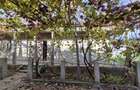 Casa 4 camere + teren 1444 mp ingradit - 11