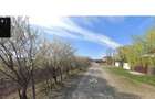 Teren intravilan Fundulea loturi 1.000 mp zona reziden?iala asfalt A2 DN3 - 8
