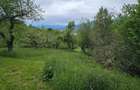 Domeniu Premium 1.7 Ha Intravilan Zarnesti | Liziera Padure - 14