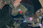 Teren intravilan 1.650 mp cu deschidere la Lacul Pasarea ?i la drum - 2