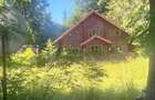 Casă P+M cu teren 1.000 mp - Mălini, Suceava - 2