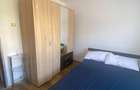 Apartament 2 camere de inchiriat aluminei - 8