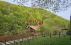 Casa de vacanta la padure | Teren 891 mp | Valea Ighielului - 5