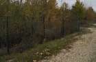 Vand teren Corbeanca Laguna Albastra 624mp 89900 Euro - 8