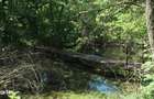 Domeniu cu Lac,Izvoare naturale si Insula,Giurgiu,Vanatorii Mici,6,3HA - 3