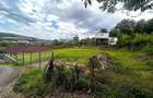 Teren 603 mp cu proiect de casa autorizat Corunca, str. Crinului - 2