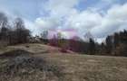 Teren intravilan de vanzare in Valea Doftanei - 6