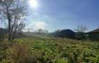 Construibil 2000mp intre case desc18m Topolog Tulcea - 4