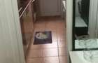 Inchiriez apartament doua camere untracentral - 4