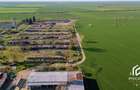 De vanzare Complex Zootehnic Suine Jud. Arad SU 15.30ha, Ferma, Grajd - 5
