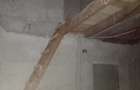 Casa de vanzare Peciu-Nou - 2