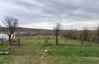 AGROVILLAGE - Parcele 580-780mp in Brestovat - Proprietar - 5