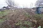 Teren Intravilan Moara Vlasiei 963 mp, Zona Superba,