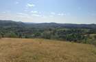 15 Hectare teren la munte ?inutul Padurenilor - 6