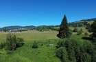 Teren in Bucovina! La Munte! De vanzare! 0727817187 - 3