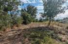 Ferma 3,3ha, din care 2,5ha intravilan, vila 7 camere, D+P+E+M, casa p - 14