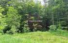 Teren intravilan de vanzare in Sinaia - Zona Furnica - 2