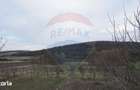Teren de vanzare 517mp, sat Zapodia, com. Traian, jud Bacau - 3