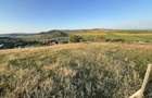 Vanzare doua terenuri 600 mp cu acte in regula Santana de Mure? (zona Unirii - Barde?ti) - 8